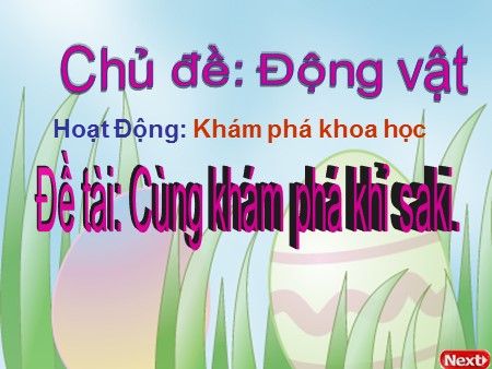 Bài giảng Mầm non Lớp Lá - Đề tài: Cùng khám phá khỉ Saki