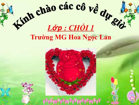 Bài giảng Mầm non Lớp Chồi - Chủ đề: Động vật - Đề tài: Một số động vật sống trong rừng