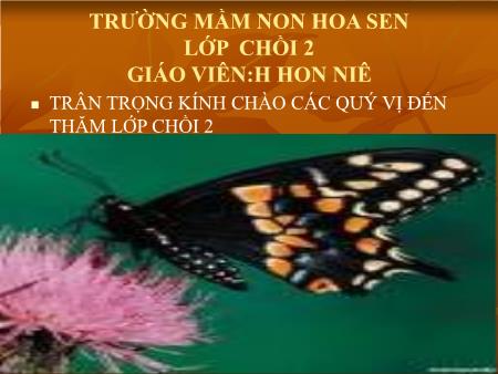 Bài giảng Mầm non Lớp Chồi - Chủ đề: Động vật - Hát: Kìa con bướm vàng