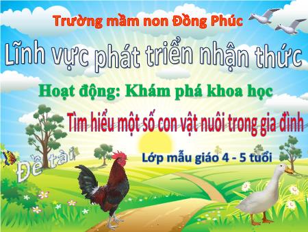 Bài giảng Mầm non Lớp Chồi - Đề tài: Tìm hiểu một số con vật nuôi trong gia đình