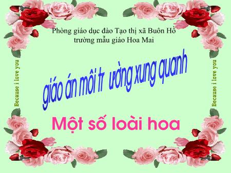 Bài giảng Mầm non Lớp Chồi - Khám phá một số loại hoa