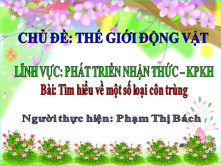Bài giảng Mầm non Lớp Lá - Khám phá khoa học: Tìm hiểu về một số loại côn trùng Bài giảng Mầm non Lớp Lá - Khám phá khoa học: Tìm hiểu về một số loại côn trùng