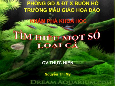 Bài giảng Mầm non Lớp Lá - Khám phá khoa học: Tìm hiểu về một số loại cá