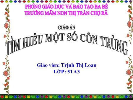 Giáo án Mầm non Lớp Lá - Đề tài: Tìm hiểu một số côn trùng