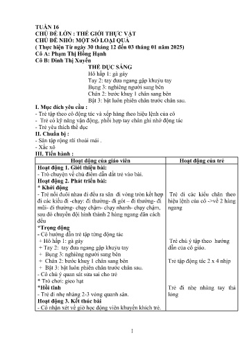 Giáo án Mầm non Lớp Chồi - Tuần 16 - Năm học 2024-2025 - Đinh Thị Xuyến - Phạm Thị Hồng Hạnh