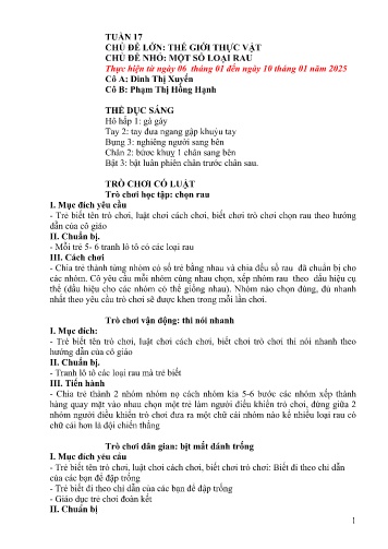 Giáo án Mầm non Lớp Chồi - Tuần 17 - Năm học 2024-2025 - Đinh Thị Xuyến - Phạm Thị Hồng Hạnh
