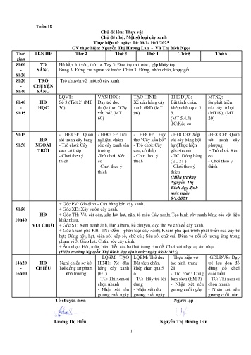 Giáo án Mầm non Lớp Chồi - Tuần 18 - Chủ đề: Thực vật - Chủ đề nhánh: Một số loại cây xanh - Năm học 2024-2025