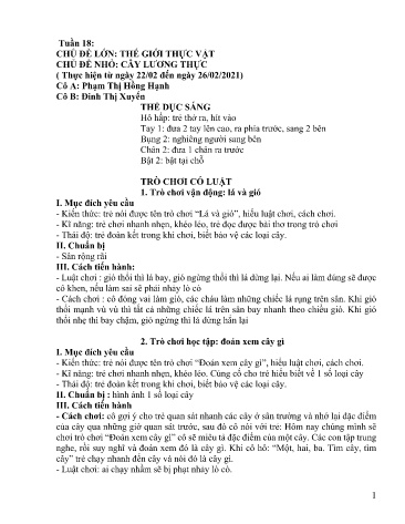 Giáo án Mầm non Lớp Chồi - Tuần 18 - Năm học 2024-2025 - Đinh Thị Xuyến - Phạm Thị Hồng Hạnh