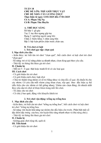 Giáo án Mầm non Lớp Chồi - Tuần 18 - Năm học 2024-2025 - Phạm Thu Huyền - Phạm Thị Nụ