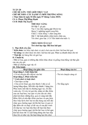 Giáo án Mầm non Lớp Chồi - Tuần 20 - Năm học 2024-2025 - Đinh Thị Xuyến - Phạm Thị Hồng Hạnh