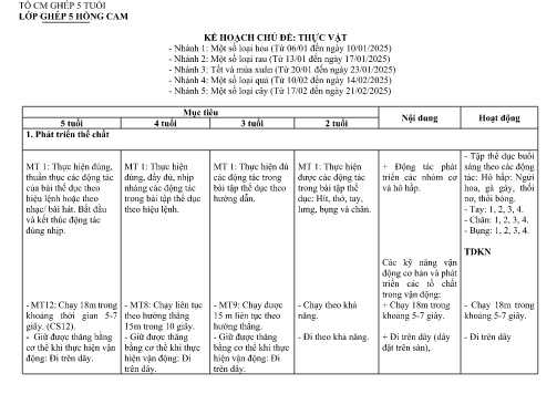 Giáo án Mầm non Lớp ghép - Chủ đề: Thực vật - Năm học 2024-2025
