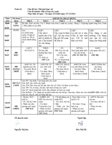 Giáo án Mầm non Lớp ghép - Tuần 16 - Năm học 2024-2025 - Ma Thị Sáo - Đào Thị Mỹ