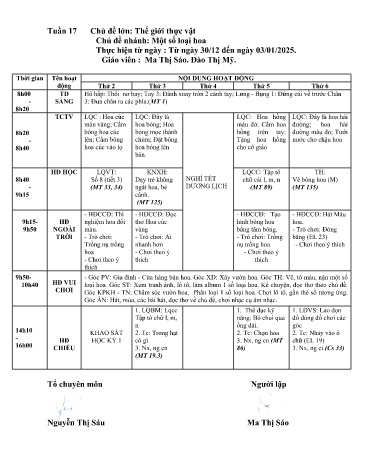 Giáo án Mầm non Lớp ghép - Tuần 17 - Năm học 2024-2025 - Ma Thị Sáo - Đào Thị Mỹ