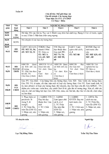 Giáo án Mầm non Lớp ghép - Tuần 19 - Năm học 2024-2025 - Lương Thị Hiếu - Trần Thị Thu Thảo