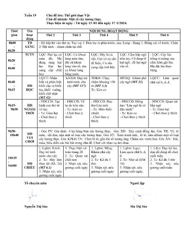 Giáo án Mầm non Lớp ghép - Tuần 19 - Năm học 2024-2025 - Ma Thị Sáo - Đào Thị Mỹ