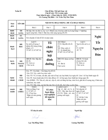 Giáo án Mầm non Lớp ghép - Tuần 20 - Năm học 2024-2025 - Lương Thị Hiếu - Trần Thị Thu Thảo