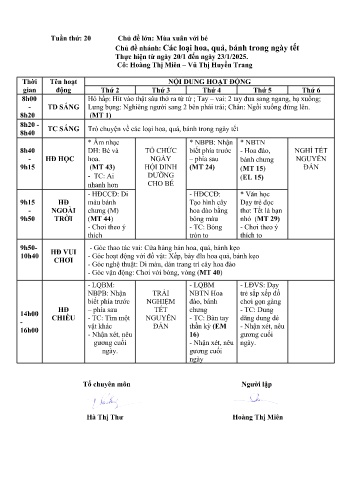 Giáo án Mầm non Lớp ghép - Tuần 20 - Năm học 2024-2025 - Vũ Thị Huyền Trang - Hoàng Thị Miên