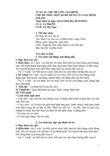 Giáo án Mầm non Lớp Lá - Tuần 14 - Năm học 2024-2025 - Lò Mùi Pết - Vũ Thị Ngọc