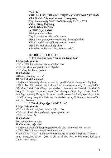 Giáo án Mầm non Lớp Lá - Tuần 16 - Năm học 2024-2025 - Nông Thị Hồng - Đặng Thị Văn