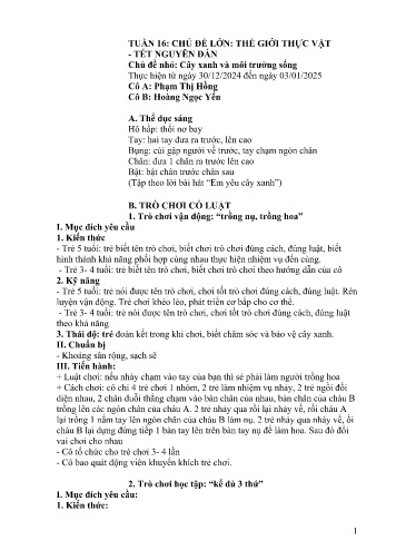 Giáo án Mầm non Lớp Lá - Tuần 16 - Năm học 2024-2025 - Phạm Thị Hồng - Hoàng Ngọc Yến