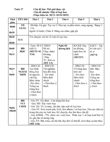 Giáo án Mầm non Lớp Lá - Tuần 17 - Chủ đề: Thế giới thực vật - Chủ đề nhánh: Một số loại hoa - Năm học 2024-2025