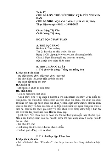 Giáo án Mầm non Lớp Lá - Tuần 17 - Năm học 2024-2025 - Nông Thị Hồng - Đặng Thị Văn