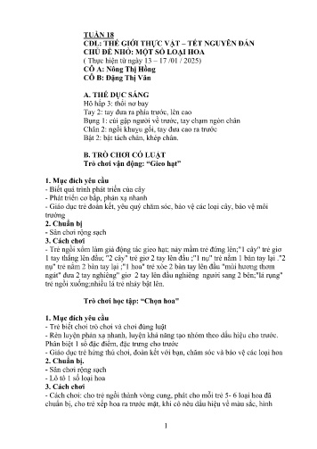 Giáo án Mầm non Lớp Lá - Tuần 18 - Năm học 2024-2025 - Nông Thị Hồng - Đặng Thị Văn