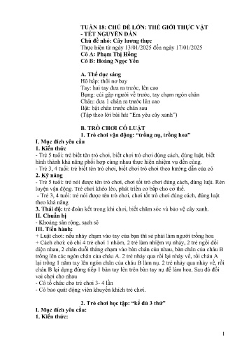 Giáo án Mầm non Lớp Lá - Tuần 18 - Năm học 2024-2025 - Phạm Thị Hồng - Hoàng Ngọc Yến