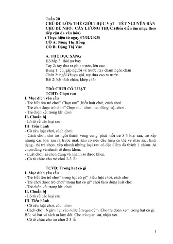 Giáo án Mầm non Lớp Lá - Tuần 20 - Năm học 2024-2025 - Đặng Thị Văn - Nông Thị Hồng