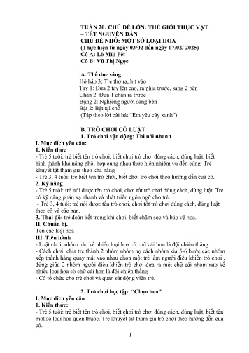 Giáo án Mầm non Lớp Lá - Tuần 20 - Năm học 2024-2025 - Lò Mùi Pết - Vũ Thị Ngọc