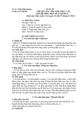 Giáo án Mầm non Lớp Lá - Tuần 20 - Năm học 2024-2025 - Trần Thị Lương - Cao Thị Hà