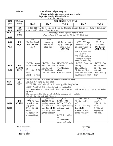 Giáo án Mầm non Lớp Lá - Tuần 25 - Chủ đề: Thế giới thực vật - Chủ đề nhánh: Một số loại côn trùng và chim - Năm học 2024-2025