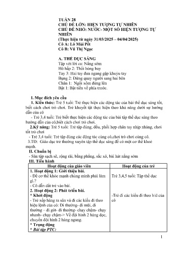 Giáo án Mầm non Lớp Lá - Tuần 28 - Năm học 2024-2025 - Lò Mùi Pết - Vũ Thị Ngọc