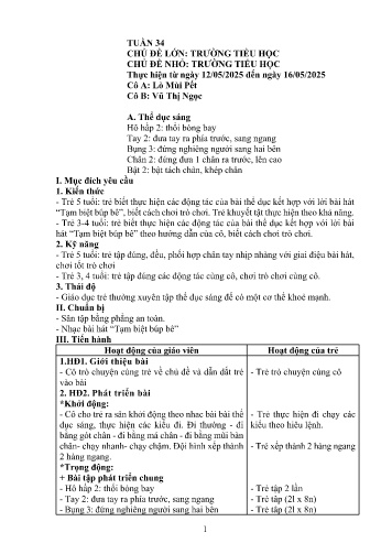 Giáo án Mầm non Lớp Lá - Tuần 34 - Năm học 2024-2025 - Lò Mùi Pết - Vũ Thị Ngọc