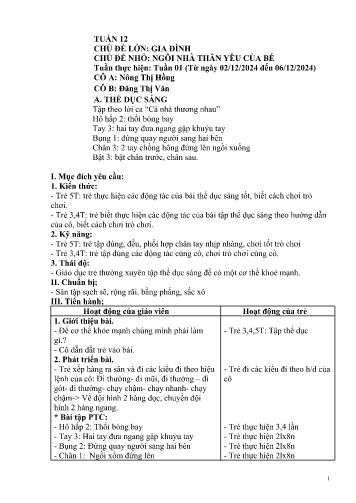 Giáo án Mầm non Lớp Mầm - Tuần 12 - Năm học 2024-2025 - Nông Thị Hồng - Đặng Thị Văn