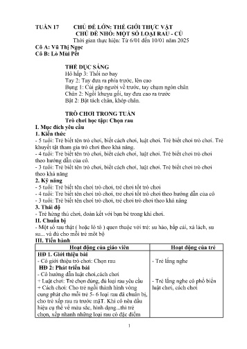 Giáo án Mầm non Lớp Mầm - Tuần 17 - Năm học 2024-2025 - Lò Mùi Pết - Vũ Thị Ngọc