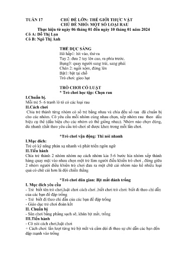 Giáo án Mầm non Lớp Mầm - Tuần 17 - Năm học 2024-2025 - Ngô Thị Ánh - Đỗ Thị Lan