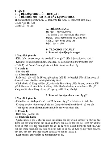 Giáo án Mầm non Lớp Mầm - Tuần 20 - Năm học 2024-2025 - Ngô Thị Ánh - Đỗ Thị Lan