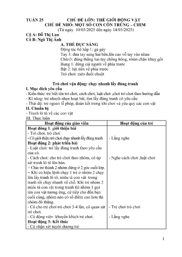 Giáo án Mầm non Lớp Mầm - Tuần 25 - Năm học 2024-2025 - Ngô Thị Ánh - Đỗ Thị Lan