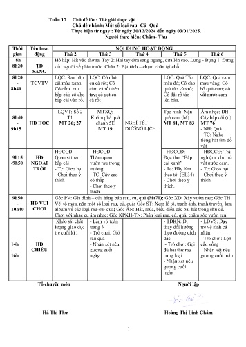Giáo án Mầm non Lớp Nhà trẻ - Tuần 17 - Năm học 2024-2025