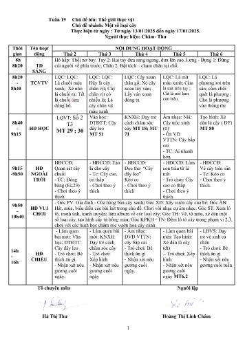 Giáo án Mầm non Lớp Nhà trẻ - Tuần 19 - Năm học 2024-2025