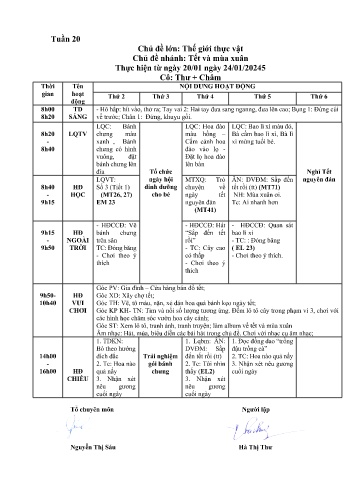 Giáo án Mầm non Lớp Nhà trẻ - Tuần 20 - Năm học 2024-2025