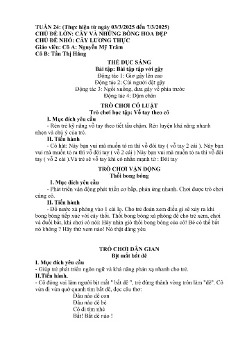 Giáo án Mầm non Lớp Nhà trẻ - Tuần 24 - Năm học 2024-2025 - Nguyễn Mỹ Trâm - Tẩn Thị Hằng