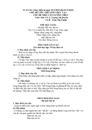 Giáo án Mầm non Lớp Nhà trẻ - Tuần 24 - Năm học 2024-2025 - Trần Thị Chinh - Vương Thị Duyên