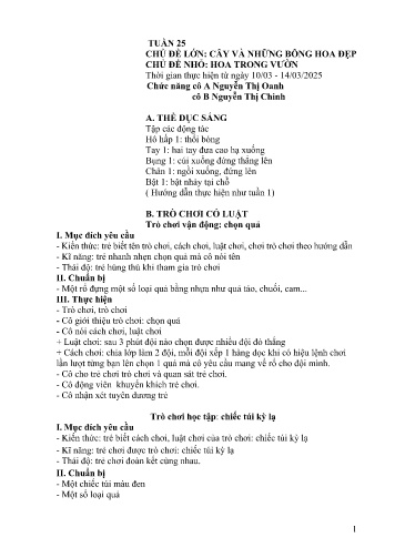 Giáo án Mầm non Lớp Nhà Trẻ - Tuần 25 - Năm học 2024-2025 - Nguyễn Thị Oanh - Nguyễn Thị Chinh