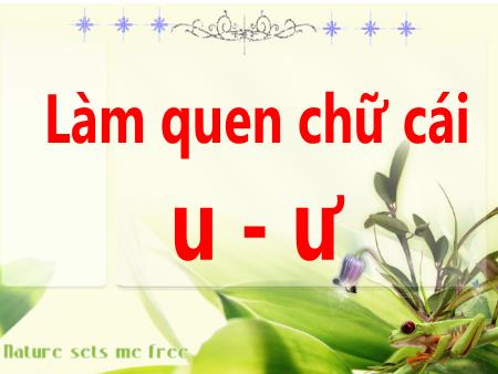 Giáo án Mầm non Lớp Chồi - Hoạt động: Làm quen chữ cái - Đề tài: Làm quen chữ cái u, ư