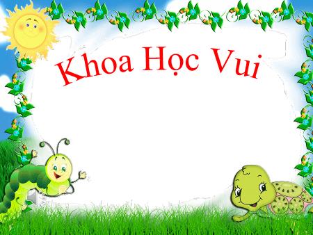 Giáo án Mầm non Lớp Mầm - Vòng đời của bướm