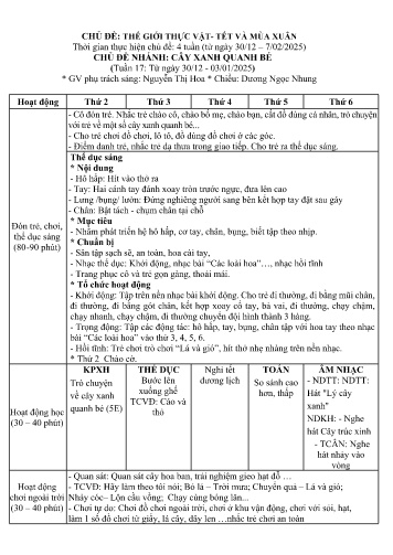 Kế hoạch bài dạy Mầm non Lớp Mầm - Chủ đề: Thế giới thực vật. Tết và mùa xuân - Tuần 17. Chủ đề nhánh: Cây xanh quanh bé (GV: Nguyễn Thị Hoa - Trường MN Xã Noong Luống - Năm học 2024-2025)