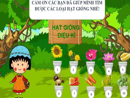 Powerpoint trò chơi Hạt giống kì diệu